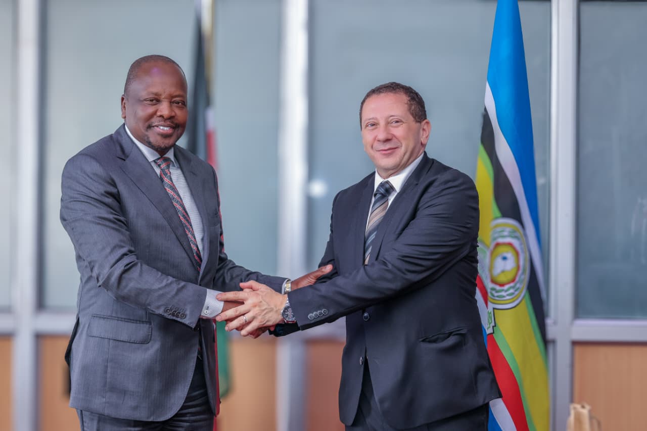 Kenya Plans to Export Hundreds of Thousands of Sheep to Algeria